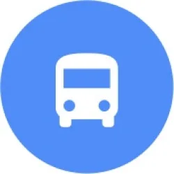 By Bus